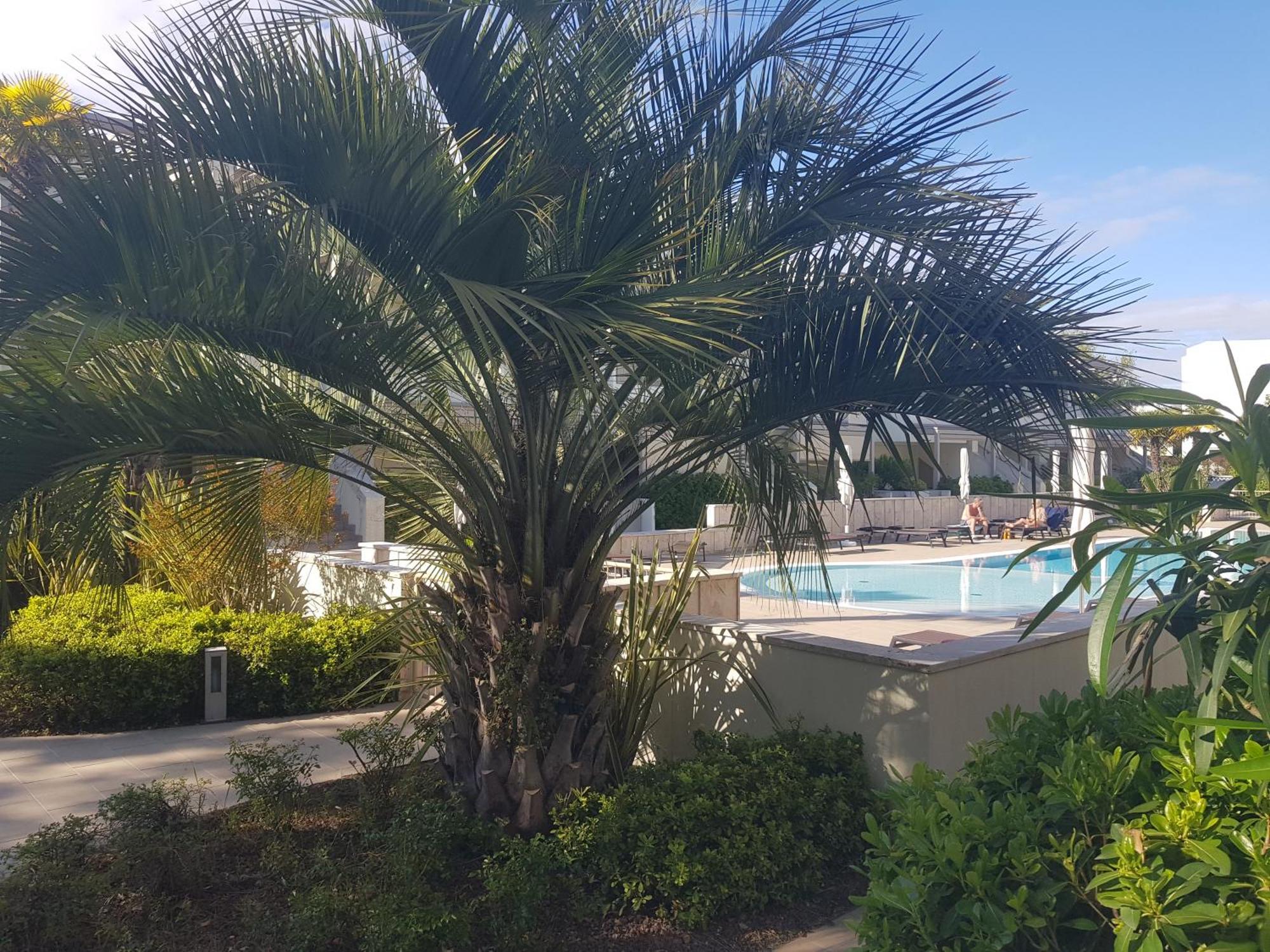 Residence Jesolo Lido Centro Con Piscina المظهر الخارجي الصورة
